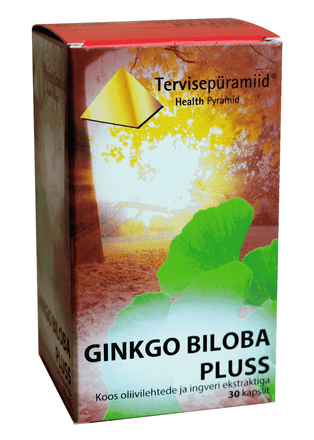 TERVISEPÜRAMIID GINKGO BILOBA PLUSS KAPSLID N30 | BENU V